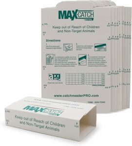 stop-nuisible.fr - piège à colle anti souris Catchmaster