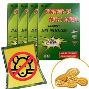 stop-nuisible.fr - plaques à colle anti souris Present