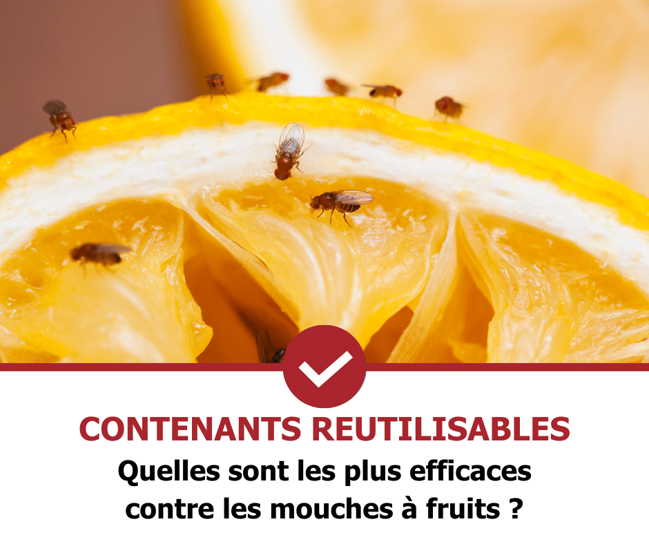 stop-nuisible.fr - contenants réutilisables mouches a fruits