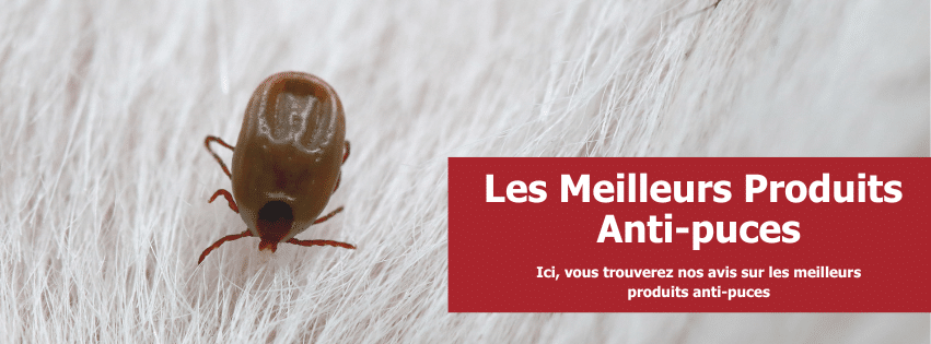 stop-nuisible.fr- Les Meilleurs Produits Anti-puces