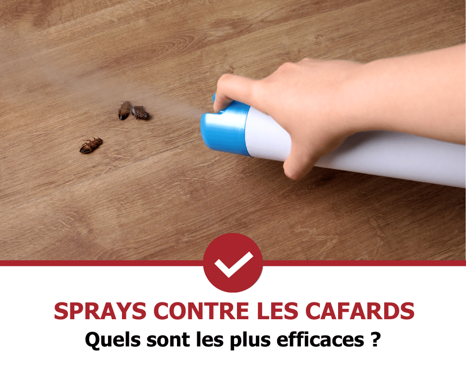 stop-nuisible.fr - sprays anti-cafards