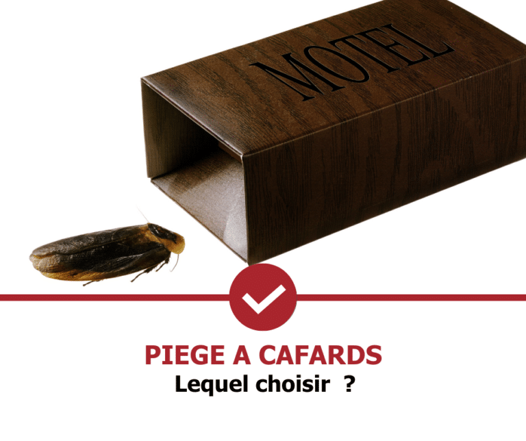 stop-nuisible.fr - piège à cafards
