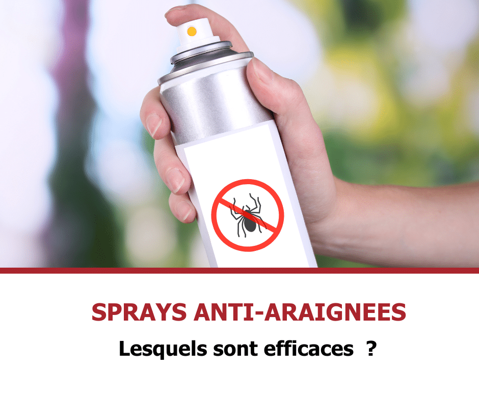 stop-nuisible.fr - sprays anti-araignées