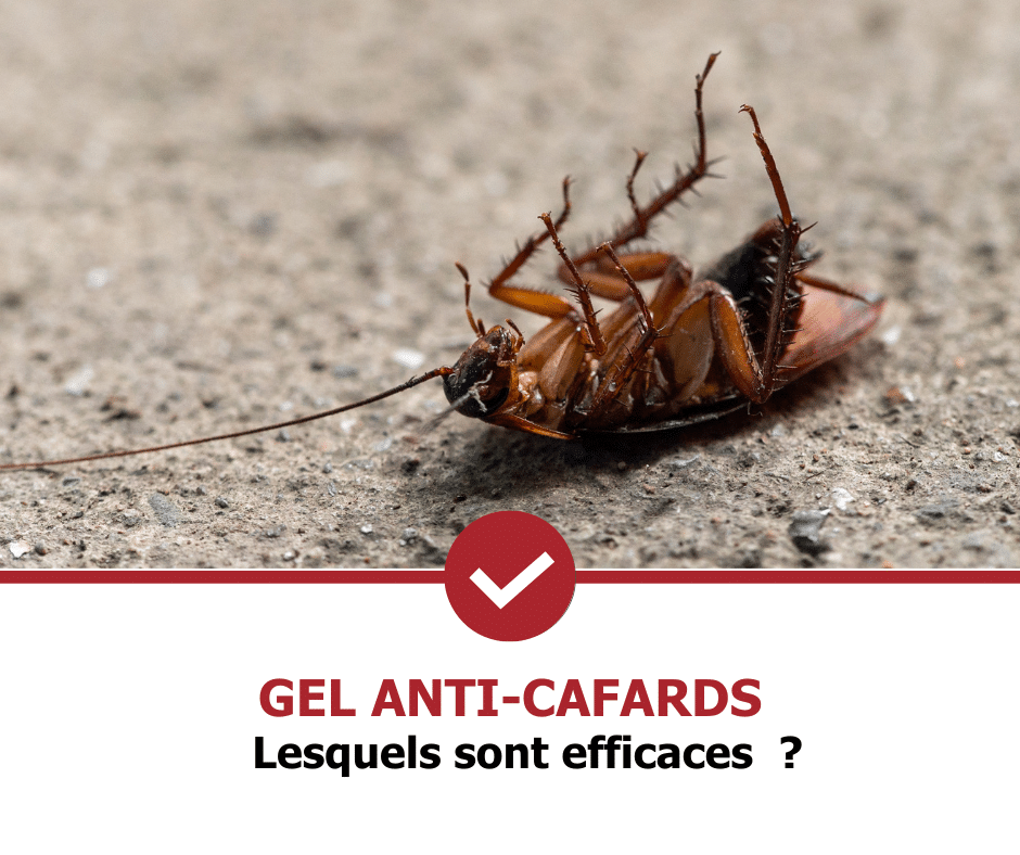 stop-nuisible.fr- gels anti-cafards