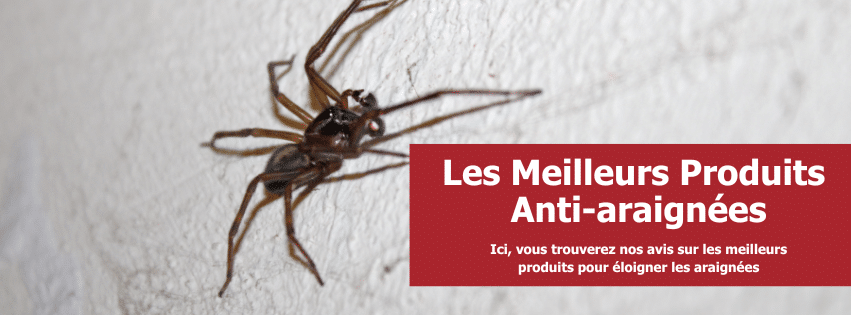 stop-nuisible.fr - produits anti-araignées