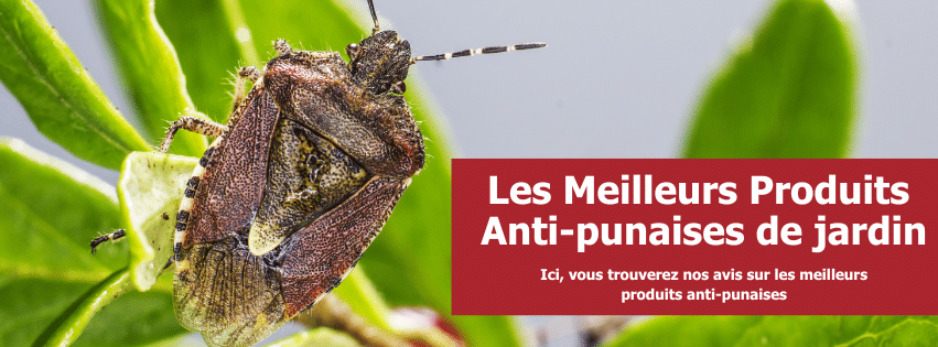 stop-nuisible.fr- Les Meilleurs Produits Anti-punaises