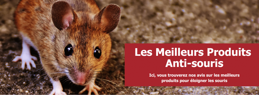 stop-nuisible.fr – produits anti souris stop-nuisible.fr - produits anti souris