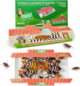 stop-nuisible.fr- piège à cafards Stop Cafard