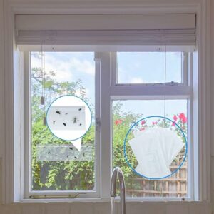 stop-nuisible.fr- piège à colle mouche des fruits Fullsexy